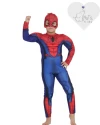 Spiderman Kaslı Çocuk Kostümü